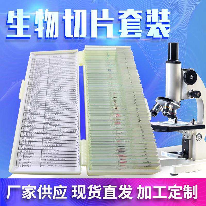 现货动物细胞分裂显微镜玻片50片装生物切片套装植物细胞显微玻片