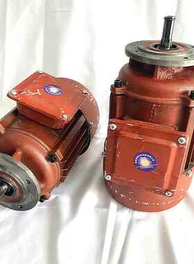 5073K葫锥形转子制动运行电机2T电动芦电机ZDY13W01-4/3KW