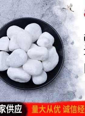 白色石子鹅卵石园林景观石头庭院造景铺路石子白色石头