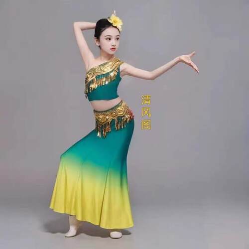 高档新款儿优童傣族舞演出服女童傣族孔雀舞臀鱼尾裙少蹈儿质表包