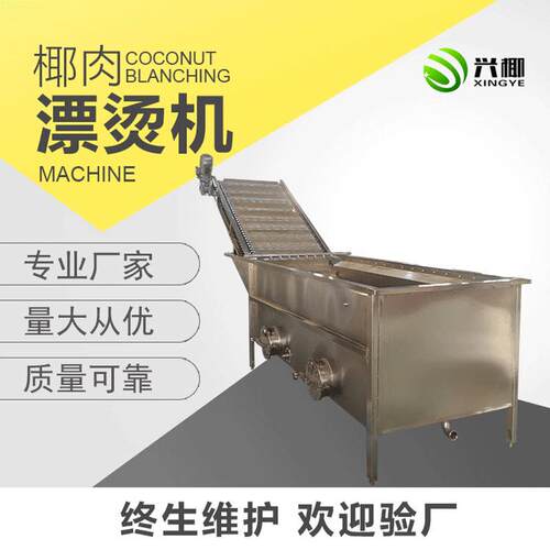 厂家供应椰肉漂烫机果蔬加工设备椰肉漂烫