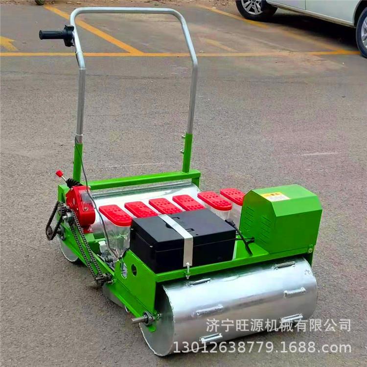 自走式蔬菜播种机 手动多行播种机 电动胡萝卜播种机