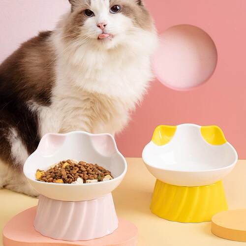猫碗陶瓷猫食盆保护颈椎斜口高脚碗猫粮水盆狗狗猫咪饭碗宠物用品