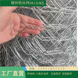 安普平迪拧花钢丝豪网 编六角网通拧六角网正织捻90*130mm