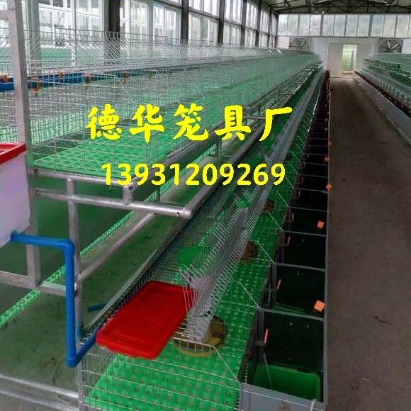 欧式兔笼阶梯式兔笼加粗加密新式免清粪养殖场专用特大号子母兔笼