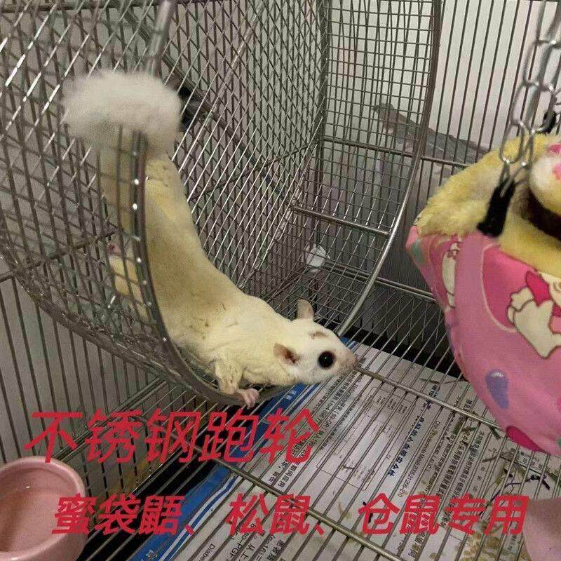 304不锈钢仓鼠跑轮超静音蜜袋鼯松鼠跑轮鹦鹉跑轮金丝熊跑轮悬挂