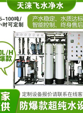 供应防爆款EDI超纯水设备 新能源氢能源超纯水系统 去离子水设备