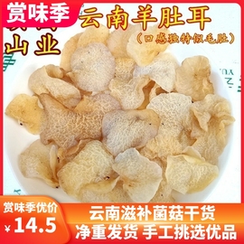 云南羊肚耳干货 珍珠菌100克装食用菌山珍美食口感像毛肚云南菌子