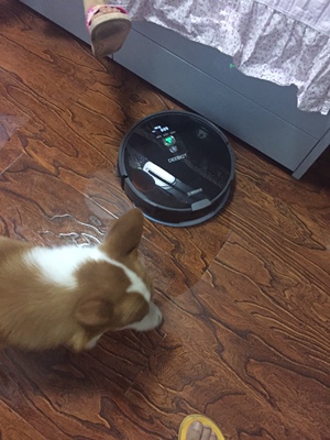 真实对比科沃斯DF45和DG800扫地机器人哪个好，区别大不大呢？