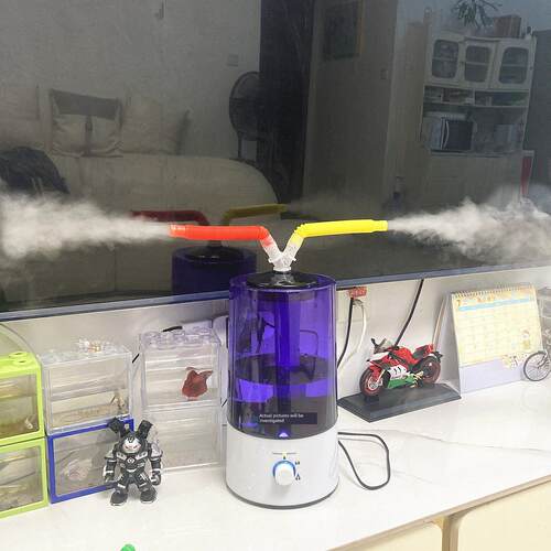 蕨类苔藓多肉加湿器爬宠造雾养护箱喷雾家用大雾超声波增湿器带管