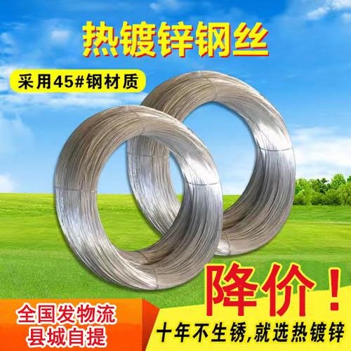 国标热浸镀锌钢丝12号葡萄架奇异果16号18号百香果14号钢线 线单