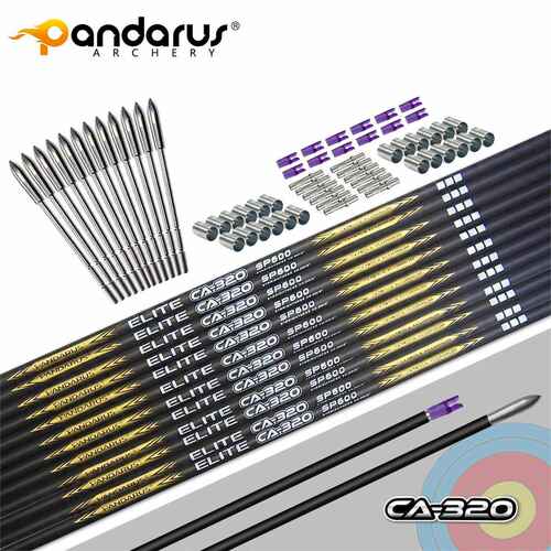 潘神CA320 碳包铝 梭形光杆套装 比赛射准箭
