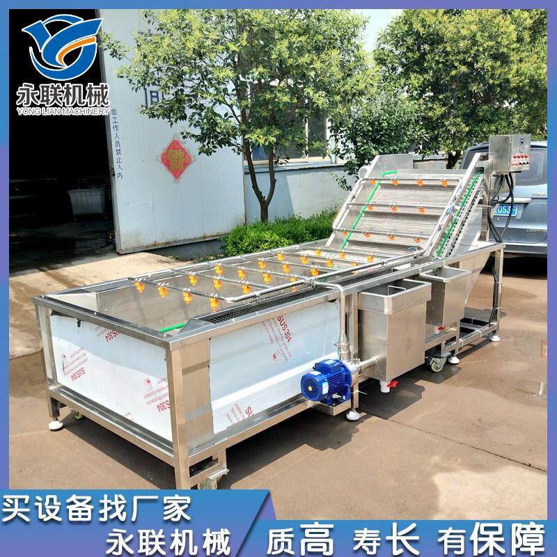 供应绿豆芽果蔬清洗机 不锈钢鼓泡式洗菜设备 茄子清洗流水线