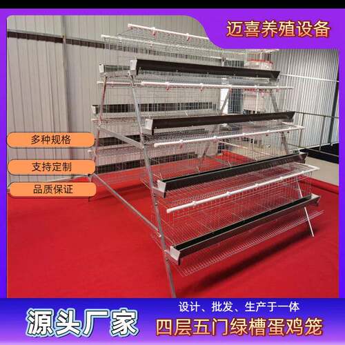四层五门绿槽阶梯式蛋鸡笼镀锌工艺耐用耐腐蚀空间错位粪便