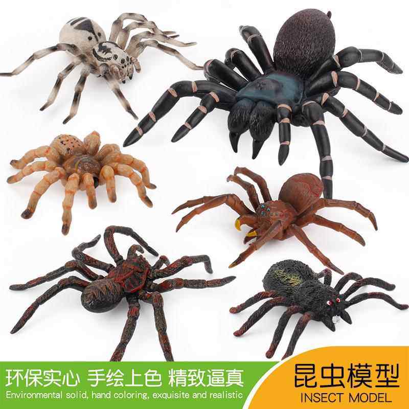 仿真蜘蛛昆虫模型玩具摆件恶搞整人塑胶假狼蛛整蛊男孩儿童玩具