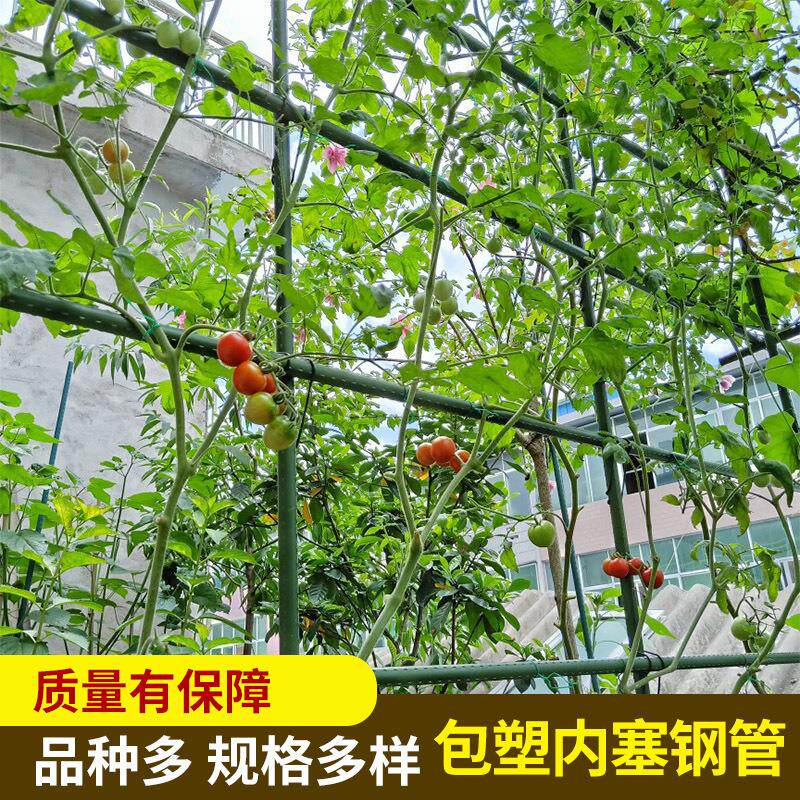 工厂园艺包塑钢管番茄植物支架爬藤花架包塑藤蔓支架黄瓜爬藤