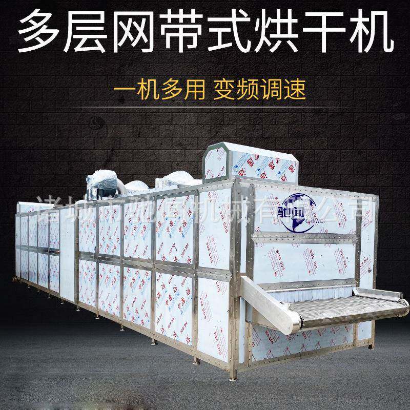 大型辣椒烘干机 网带式灯笼椒甜椒干燥设备 青椒菜椒烘干生产线