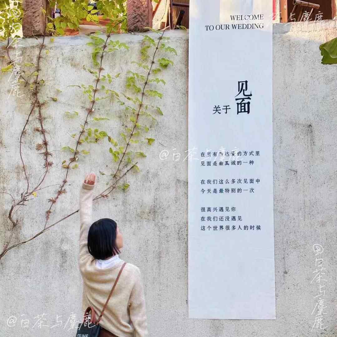 关于见面户外婚礼装饰条幅挂布结婚背景布布置迎宾区舞台吊顶纱幔,节庆用品/礼品,节庆布艺用品,淘宝优惠券,粉丝福利购,淘宝优惠卷