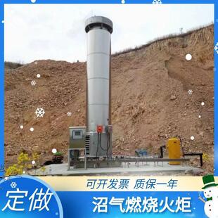 沼气燃烧沼气火炬垃圾填埋场沼气火炬养殖场沼气火炬生产厂家