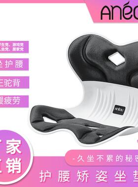 LR-020厂家直销护腰矫正坐垫久坐不防累器办公室护学生驼背神脊椎
