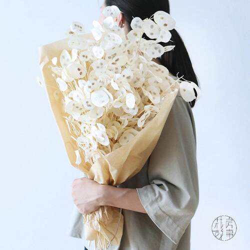 正品天然银扇叶i花束插花口干花果ns进家门店软居装配饰开业乔迁
