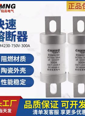 DC1000V直流熔断器RS309充电桩新能源电动汽车熔断器铭高RSM4230