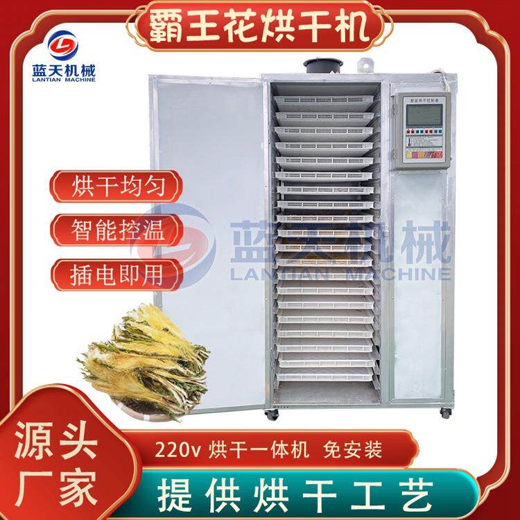 霸王花烘干机 智能控温剑花量天尺烘干箱 霸王鞭烘干设备小型