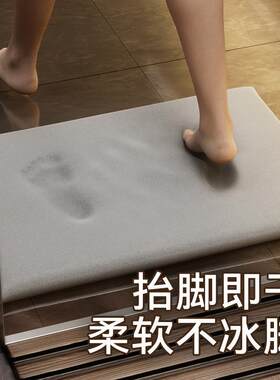 浴室轻奢硅藻泥吸水地垫卫生间地毯防滑硅藻土淋浴房速干脚垫家用
