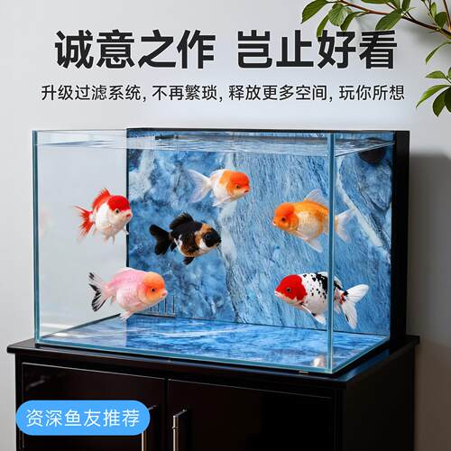 金晶新款超白桌面鱼缸生态造景过滤制氧一体机金鱼缸小型背滤岩板