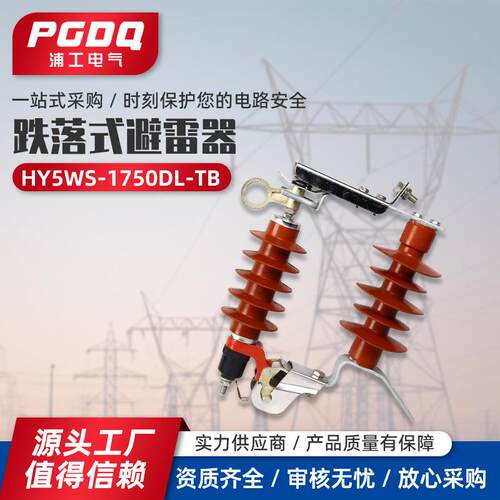跌落式避雷器HY5WS-17/50DL-TB10KV高压可卸式氧化锌避雷器