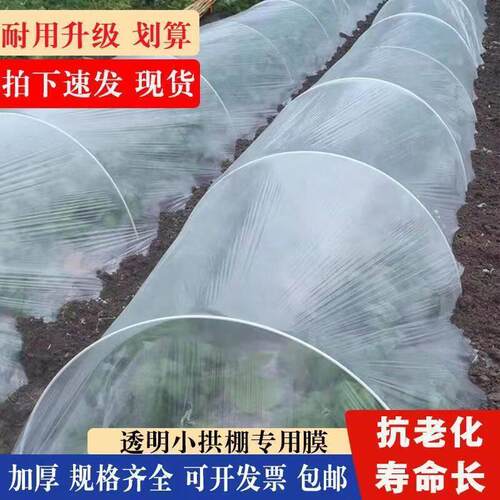 透明塑料薄膜种菜拱棚膜防霜防寒膜塑胶布保温地膜农用种植塑料膜