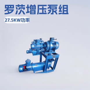 2SK 12真空泵27.5KW 2A水环真空机组ZJP600罗茨增压泵 JZJ2S600