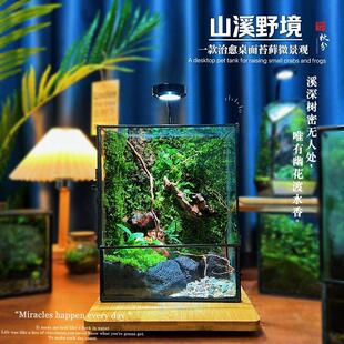 苔藓微景观树蛙养鱼蟹生态雨林缸造景办公桌面植物免打理生态瓶