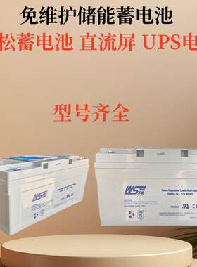 WSONG万松蓄电池SN24-12铅酸免维护12V24AH储能型机房后备
