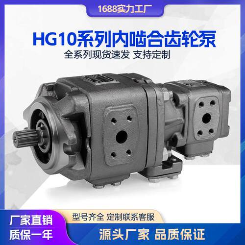 齿轮泵SUNNY伺服泵HG10-25-08-01R-VPC-D-36内啮合齿轮泵