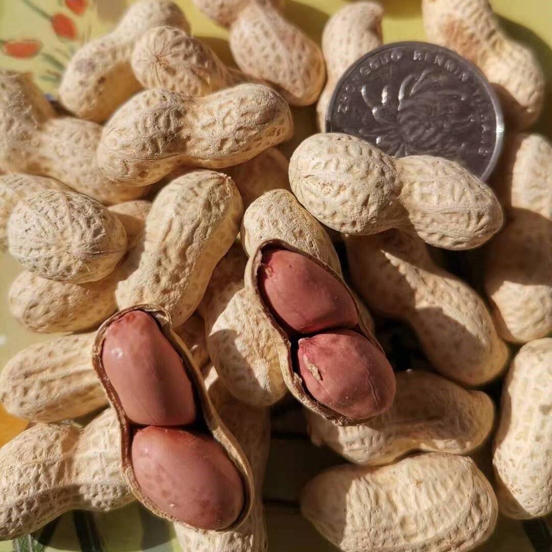 【鲜】净重2.5kg小珍珠花原味花生蒜香核桃味花生510g去壳生花生