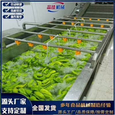 洗PJ6曝00多功能气泡泡清0洗机大型商用叶菜FUY类瓜果除杂臭氧清