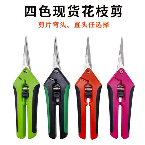 跨境园艺剪刀水果葡萄采摘剪刀 果树修枝剪直头弯头不锈钢 稀果剪