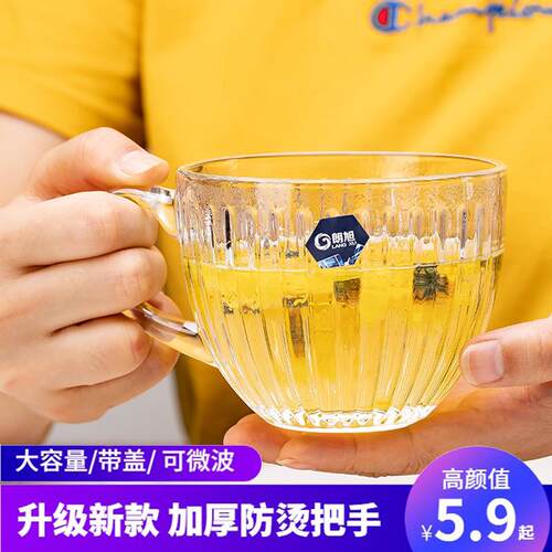 朗旭耐热带盖子勺微波炉大容量泡茶燕麦咖啡早餐牛奶网红玻璃杯家