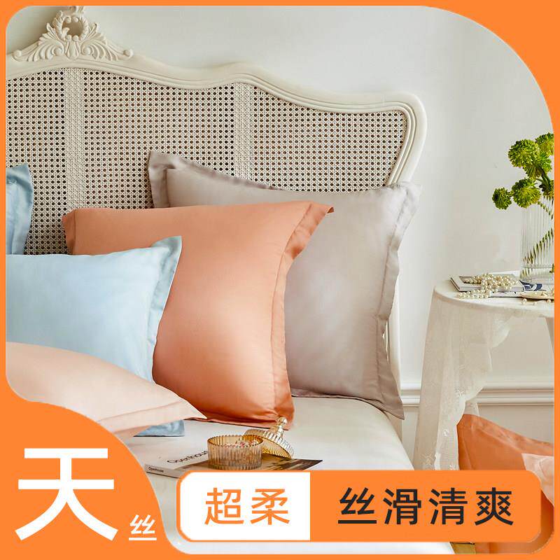 天丝抱枕套100支莱赛尔纤维夏天凉感床上大靠枕床头冰丝方靠背套