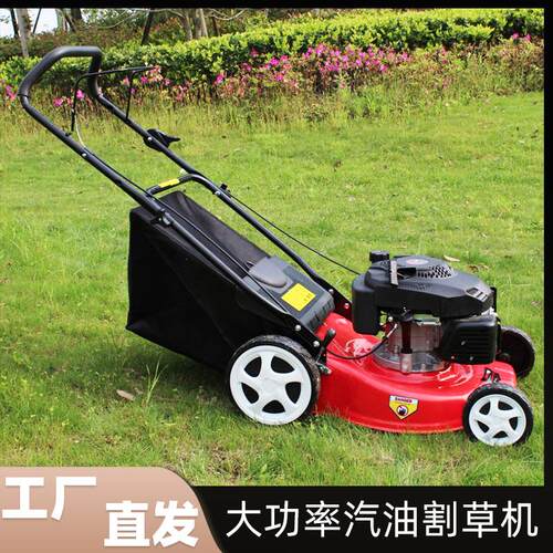 自走式大马力割草机 公园小区家用小型打草机 汽油款农用草坪机