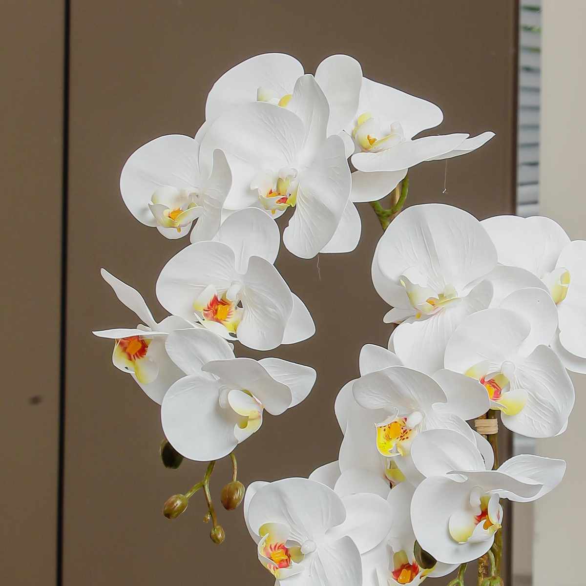 仿真蝴蝶兰盆栽手感保湿假花紫色粉色金色新婚结婚客厅高档仿真花