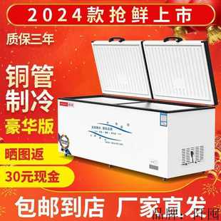 冷柜家用低温冷冻柜 冰柜商用大容量冷藏冷冻单温双温节能铜管卧式