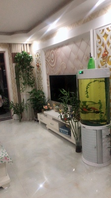 科里夫斯指纹锁怎么样?用后21天,告诉大家实情感受