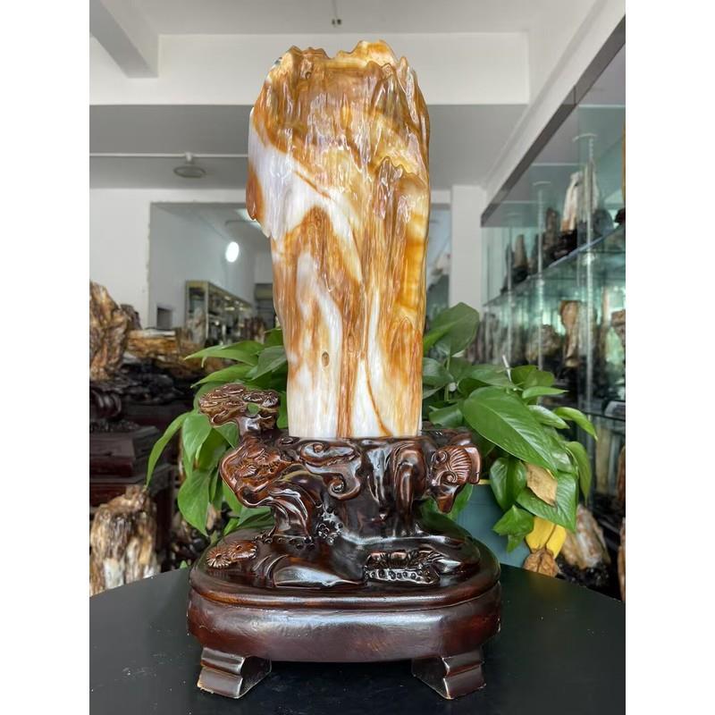 精品缅甸树化玉原石摆件冰种木化石天然树化石客厅玄关桌面观光石