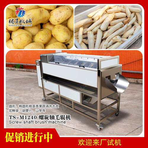 果蔬清洗设备连续式清洗去皮毛辊清洗机根茎类土豆红薯去皮机