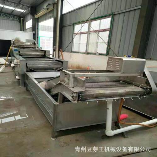 黄豆芽清洗机器 豆芽加工生产流水线 源头工厂供应豆芽清洗设备