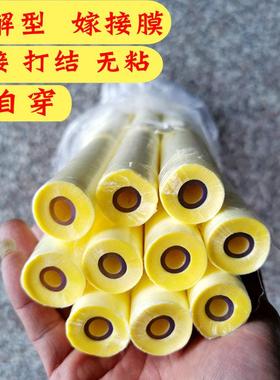 可降解嫁接膜果树嫁接专用薄膜黄色芽接打结可自穿无需解膜没粘性