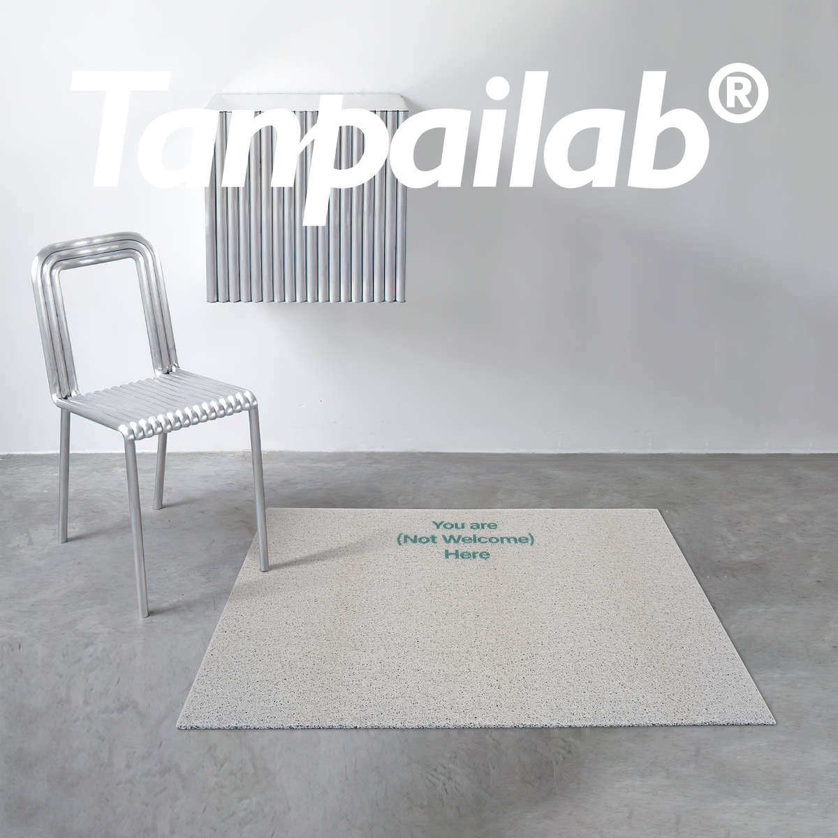 摊牌 简约家用纯色现代丝圈入户玄关大门口地垫耐磨门垫 门外地毯