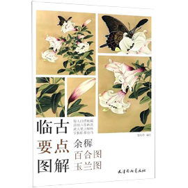 书临古要点图解（余穉百合图玉兰图）郑玲玲编绘 国画玉兰花临摹技法原大白描底稿工笔百合花卉画法步骤详解